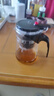 飘逸壶泡茶壶耐热高温玻璃沏茶过滤内胆冲茶器家用茶具套装 飘逸杯500mL1个 实拍图