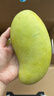 京鲜生  海南金煌芒果 5斤礼盒装 单果约400g 新鲜水果 实拍图
