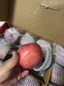 京鲜生烟台红富士苹果 净重5斤/12粒 单果190-240g 生鲜水果 实拍图