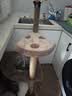 喵仙儿猫爬架一体猫窝多层跳台剑麻猫抓柱大型耐磨猫抓板不掉屑猫玩具 实拍图