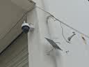 HIKVISION海康威视太阳能摄像头4G云台内置无限流量款智能监控器免插电手机远程室外监控带128G卡T1S4M 实拍图