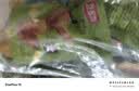 豆多奇板栗豆干混合口味 板栗素肉零食休闲解馋食品 268g约8-9袋 实拍图