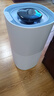 美的（Midea）【小蓝鲸600】无雾空气加湿器孕妇婴幼儿家用卧室静音除菌空调风扇清凉伴侣大容量生日礼物SZ-2Y50 实拍图