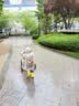 比多乐 儿童雨鞋男女宝宝防滑雨靴幼儿园小学生下雨天防水鞋小孩胶鞋 黄色*按脚长选购 内长15cm【推荐脚长13.5-14cm】 实拍图