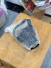 京川旭相机防雨罩机身雨衣防水罩佳能尼康索尼单反镜头通用保护防水罩 相机雨衣【10个装】 实拍图