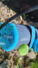 创宁水陆两用变频水泵静音过滤循环潜水泵CN9500-18W 10档流量调节 实拍图