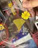 天色干花书签材料包创意手工制作小学生男女孩毕业纪念礼物植物标本莫奈花园彼得兔多色30朵TS-6136 实拍图