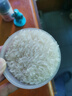 太粮猫牙米长粒米20斤 籼米南方一级大米 煲仔饭煮粥丝苗米当季新米 实拍图