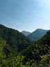 迪卡侬登山杖MT100户外旅行徒步轻盈装备伸缩手杖-4881049 实拍图