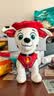 汪汪队立大功（PAW PATROL）毛绒玩具狗狗陪睡玩偶经典款毛毛站姿公仔男女孩圣诞礼物 实拍图