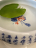 水培一叶莲浮萍迷你水草净化水质鱼缸造景睡莲花水生水养花卉植物 一叶莲 【3片装】尺寸8-11厘米 实拍图