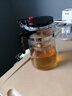飘逸壶泡茶壶耐热高温玻璃沏茶过滤内胆冲茶器家用茶具套装 飘逸杯500mL1个 实拍图