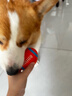 HELLOJOY狗狗玩具宠物小狗自嗨解闷神器磨牙耐咬发声幼犬中型小型犬橄榄球 实拍图