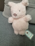 Jellycat小猪可爱公仔动物毛绒玩偶小玩偶娃娃送礼儿童节生日礼物 粉红色 Little 实拍图