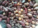 李小谷 有机红芸豆400克罐装(菜豆饭豆红芸豆沙原料煲粥煮汤伴侣) 实拍图