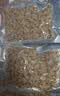 新鲜无沙花甲肉五斤无冰连云港发货蛤蜊肉鲜冻花甲肉贝肉花蛤净重 无沙花甲肉 1500g 实拍图