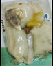 有友 泡椒凤爪 山椒味500g 减盐减辣内含小包装 追剧必备零食 大礼包 实拍图