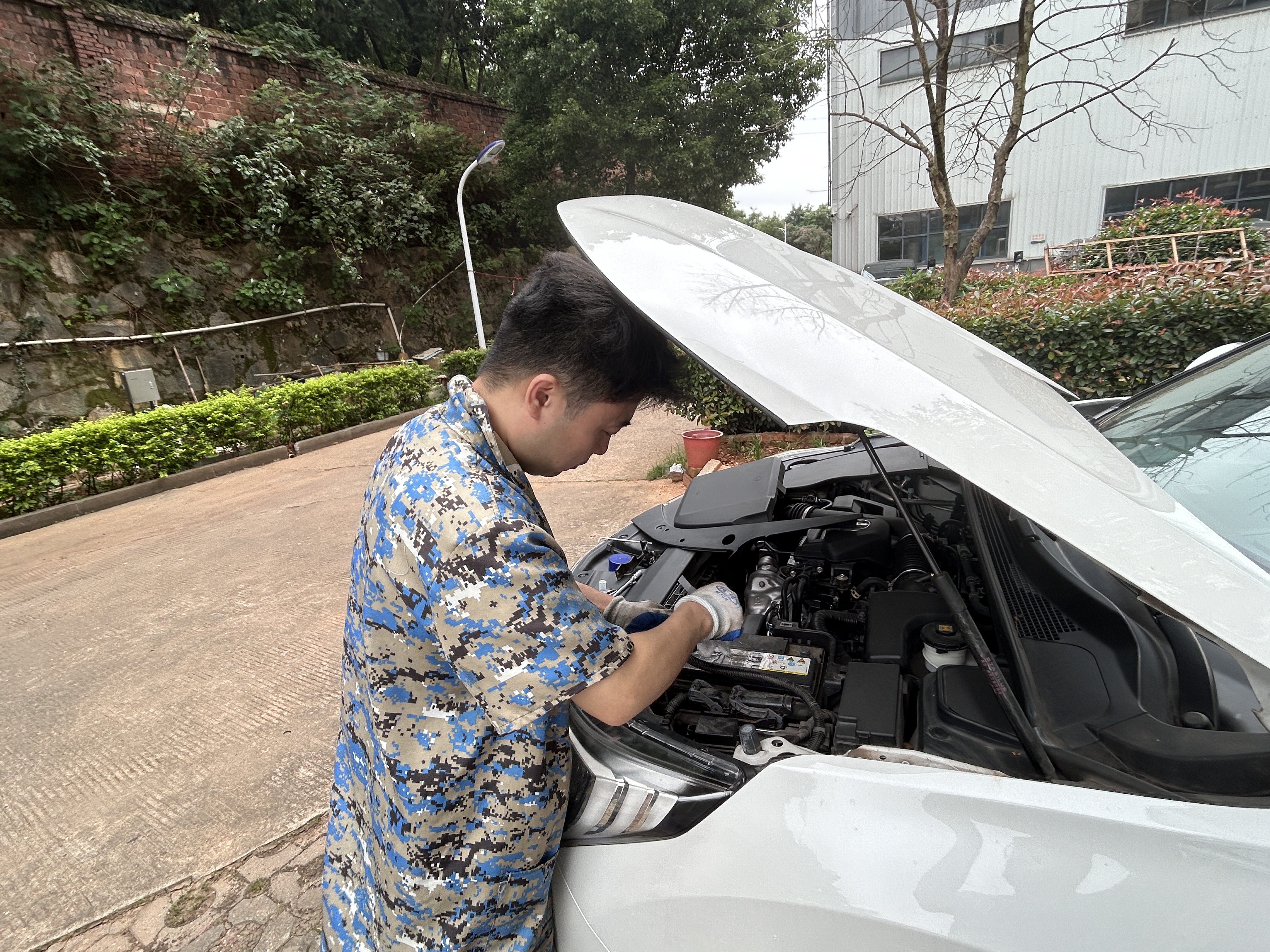 瓦尔塔（VARTA）京东养车汽车电瓶蓄电池启停EFB H5奥迪A1 A2 A3讴歌CDX红旗H5 实拍图
