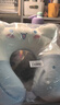 名创优品（MINISO）Cinnamoroll大耳狗记忆棉U型枕学生午睡枕办公室靠枕旅行出差颈枕 实拍图