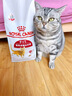 皇家成猫猫粮 营养均衡 F32 通用粮 1-7岁4.5kg*2 实拍图