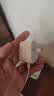 Apple/苹果 40W type-c快充充电器 苹果usb-c原装充电头 旗舰店新款苹果iPhone 17 Pro Max充电器 实拍图