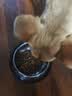 HELLOJOY猫碗不锈钢狗狗猫咪食盆猫咪宠物用品水粮碗防滑打不翻狗盆狗碗 实拍图