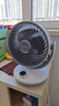 夏普小风铃空气循环扇电风扇家用小型风扇桌面台式静轻音99档风速抑菌大风量一级能效PJ-CA230A-C 实拍图