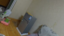 奥克斯小冰箱家用小型迷你冷藏冷冻两用出租房宿舍用节能省电寝室办公室电冰箱 【净化去味】156银色【高效保鲜 铜管速冷】42L 实拍图