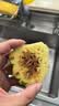 广东徐闻菠萝新鲜水果生鲜湛江香水菠萝金菠萝超甜 【尝鲜】1个装 净重1-1.5斤 实拍图