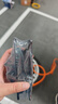 博世（BOSCH）刹车片前片原厂品质宝马3系320Li325i328Li318i316i/320i/330i/X1 实拍图