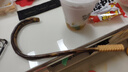 网易严选车载香挂香薰汽车香水汽车摆件 车内除异味植萃成分送礼 熊猫款 实拍图