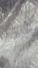 朦朦兔（MASHIMARO）流氓兔洞洞鞋女时尚外穿厚底防滑踩屎感增高沙滩凉拖鞋 实拍图