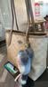 蔻驰（COACH）【品牌直供】奢侈品女包City23小号单肩包沙黄CU759 生日礼物 实拍图
