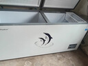 荣事达（Royalstar）冰柜商用大容量全冷冻卧式冰柜家用冷藏冷冻两用冷柜双温商用大冰柜冷冻柜展示柜 【热销 | 288升单温】长1.11米 | 单温铜管 实拍图