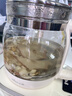 贡苑玉竹生津水280g玉竹麦冬百合茯苓雪梨茶饮补煲汤津液滋润燥养生茶 实拍图