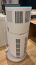霍尼韦尔（Honeywell）霍哈宝H-Cat Hub宠物猫用空气净化器  负离子家用室内空气净化机宠物吸猫毛消毒杀菌KJ520F-C22W 实拍图