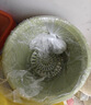 爱丽思花盆塑料圆形树脂多肉花盆种花种菜盆绿萝爱丽丝 浅绿口径20.3cm 实拍图