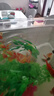 过凡（GUOFAN）鱼缸造景仿真水草海草微景观装饰塑料草假草日料摆盘鱼缸摆件11件 晒单实拍图