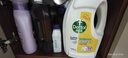 滴露（Dettol）衣物除菌液柠檬3L*3瓶杀菌除螨内衣衣物消毒液可配洗衣液儿童可用 实拍图