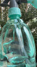 喷壶浇花浇水喷雾器气压式喷水壶家用园艺养花500ml 南瓜喷壶透蓝【2个装】 实拍图