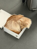 pidan猫砂 纯豆腐猫砂2.4kg*6包强力吸臭不易带出 可冲厕所非膨润土砂 实拍图