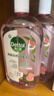 滴露（Dettol）消毒液消毒水衣物除菌液 灭活甲型H3N2流感病毒杀菌除螨非84酒精 【母婴推荐】香氛消毒液 1L 2瓶 实拍图