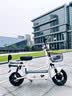 驰小虎电动自行车 吉祥虎新国标电动车电动自行车48V12Ah铅酸电池长续航电瓶车成人代步车电车白色 实拍图