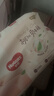 好奇（Huggies）铂金装小桃裤成长裤XL96片(12-17kg)加大号尿不湿【透爽散热】 实拍图