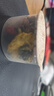 福东海 菊花枸杞决明子蒲公英茶 搭养肝护肝茶金银花滋补熬夜茶叶150g 实拍图