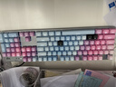 罗技（Logitech）K845机械键盘 有线键盘 办公电脑打字键盘  电竞游戏发光全尺寸个性化定制键帽 K845茶轴+蓝色妖姬键帽 实拍图