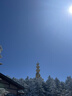 七度空间少女超薄卫生巾100%纯棉亲肤透气姨妈巾245mm*15片【新国标认证】 实拍图