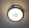 雷士（NVC）led灯盘吸顶替换灯芯灯泡灯板圆形磁吸灯条光源模组40瓦白光6500K 实拍图
