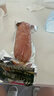 龙大肉食老式火腿400g 青岛老火腿 大块肉腱子肉火腿 火腿肠开袋即食熟食 实拍图