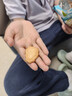 港福盛鲜牛乳饼干动物造型儿童牛奶零食宝宝婴幼儿独立包装休闲零食228g 实拍图